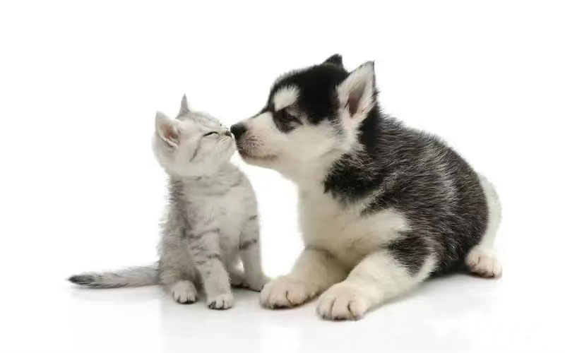 2024042210872982.jpg 洛陽朗威藥業1.jpg