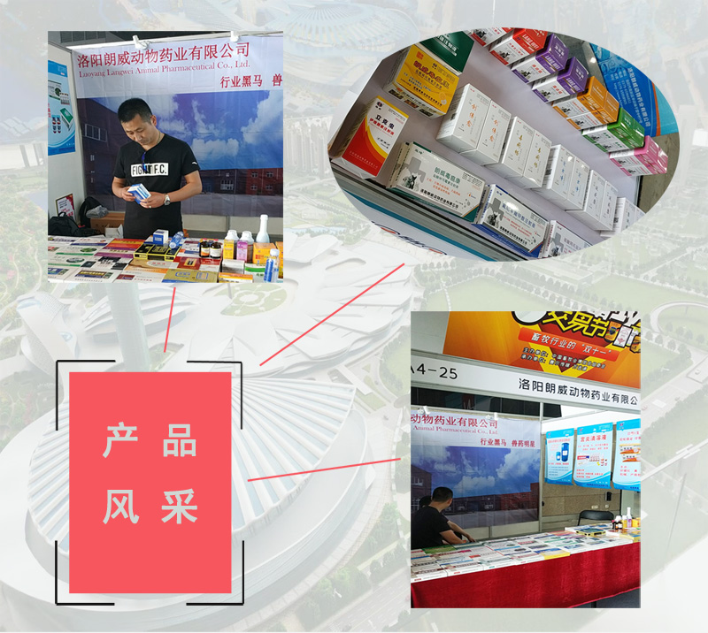 2024042250859187.jpg 洛陽朗威藥業2.jpg