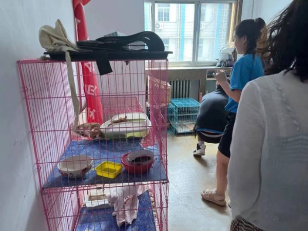 2024042315850057.png 洛陽朗威4.png