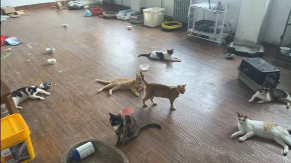 2024042316502377.png 洛陽朗威3.png