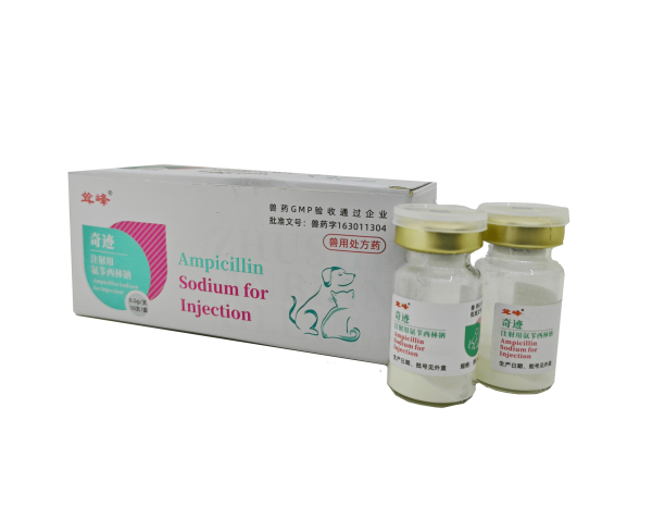奇跡 注射用氨芐西林鈉