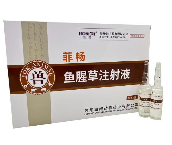 菲暢魚腥草注射液