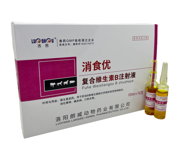 消食優-復合維生素b注射液